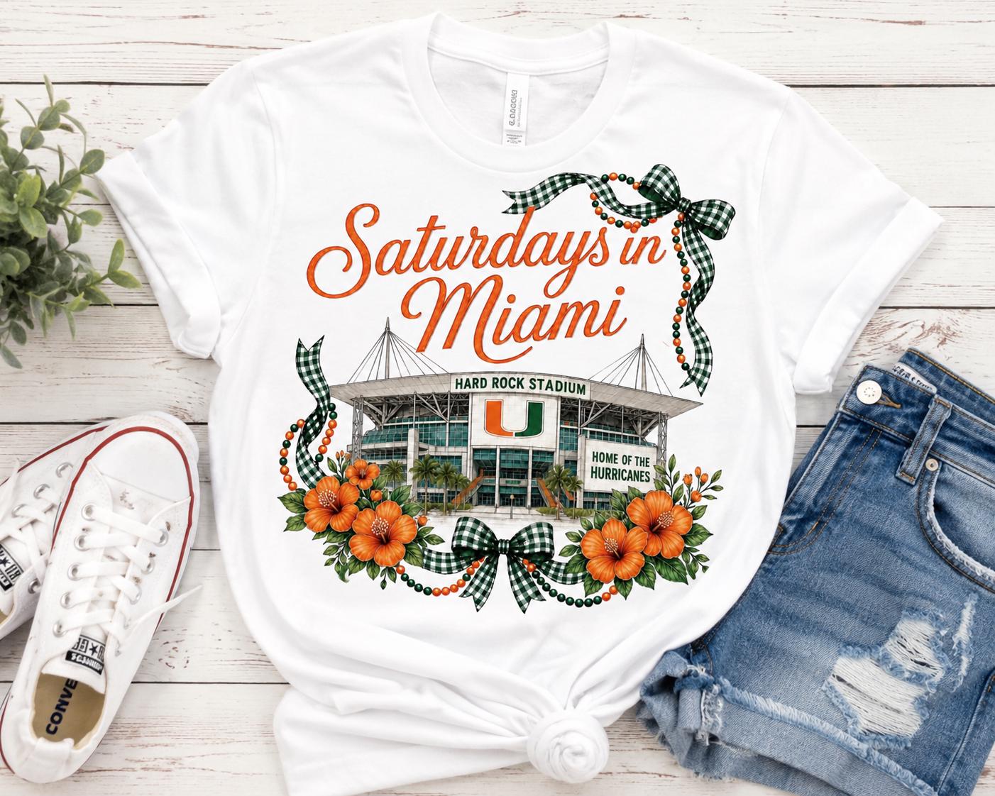 Miami Hurricanes Game Day PNG, Hard Rock Stadium Design, Coquette Football Art (Digital Download)