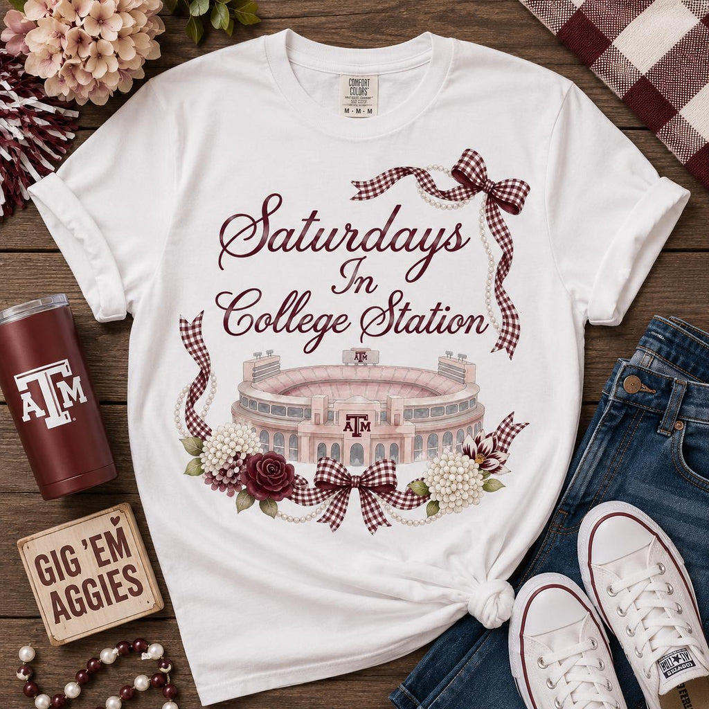 Texas A&M Stadium Watercolor PNG, Maroon Gingham Bows (Digital Download)