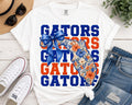 Florida Gators Floral PNG, Coquette Game Day Bow Design (Digital Download)