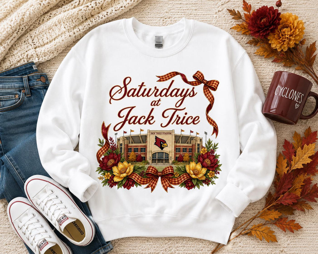 Saturdays at Jack Trice Stadium PNG, Iowa State Football Game Day Design (Digital Download)