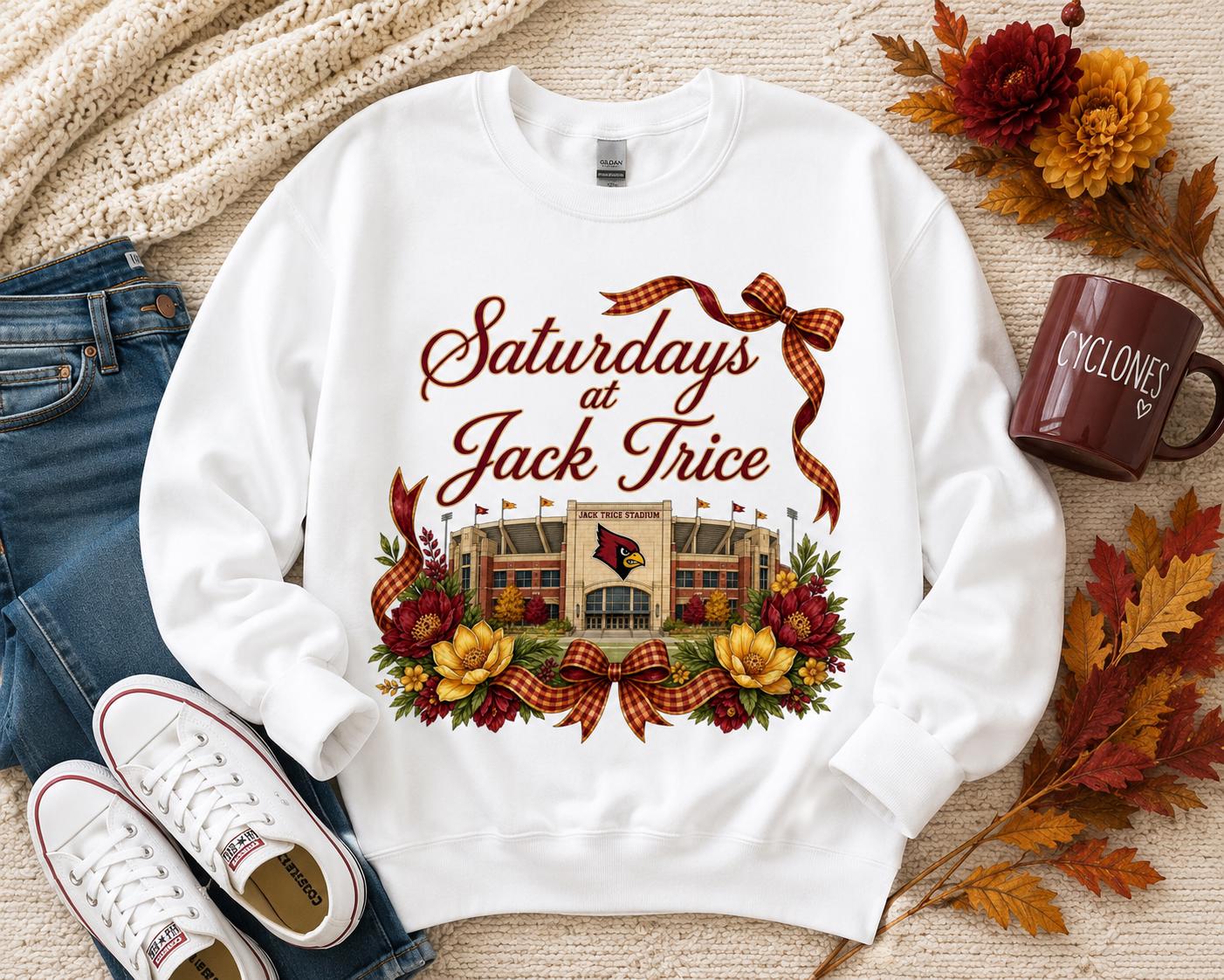 Saturdays at Jack Trice Stadium PNG, Iowa State Football Game Day Design (Digital Download)